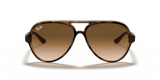 Ray-Ban Cats 5000 Classic RB 4125 (710/51) Sunglasses Vision Express