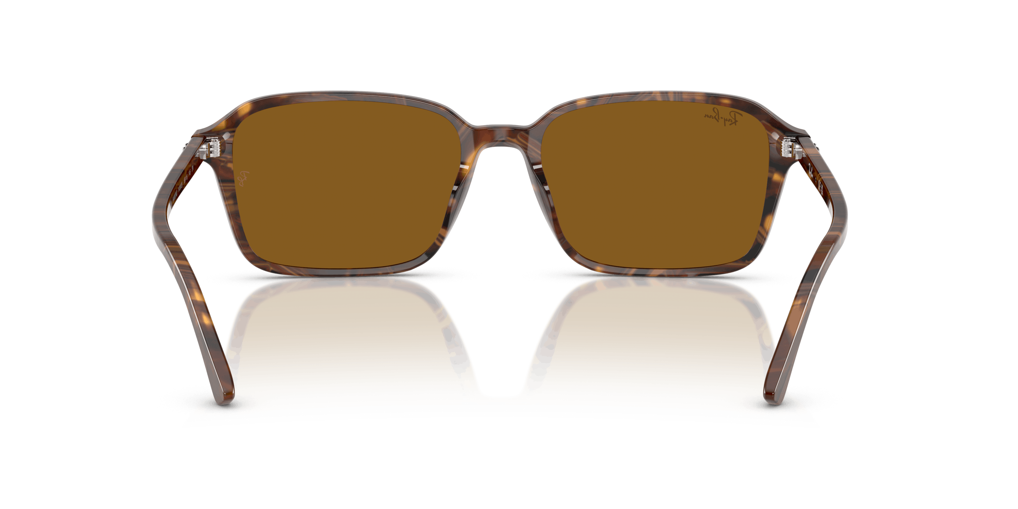 Detail02, Ray-Ban RB2231 0060C