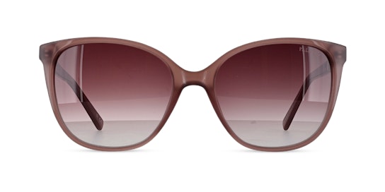 Palazzo GL 0216-S Sunglasses Brown / Pink