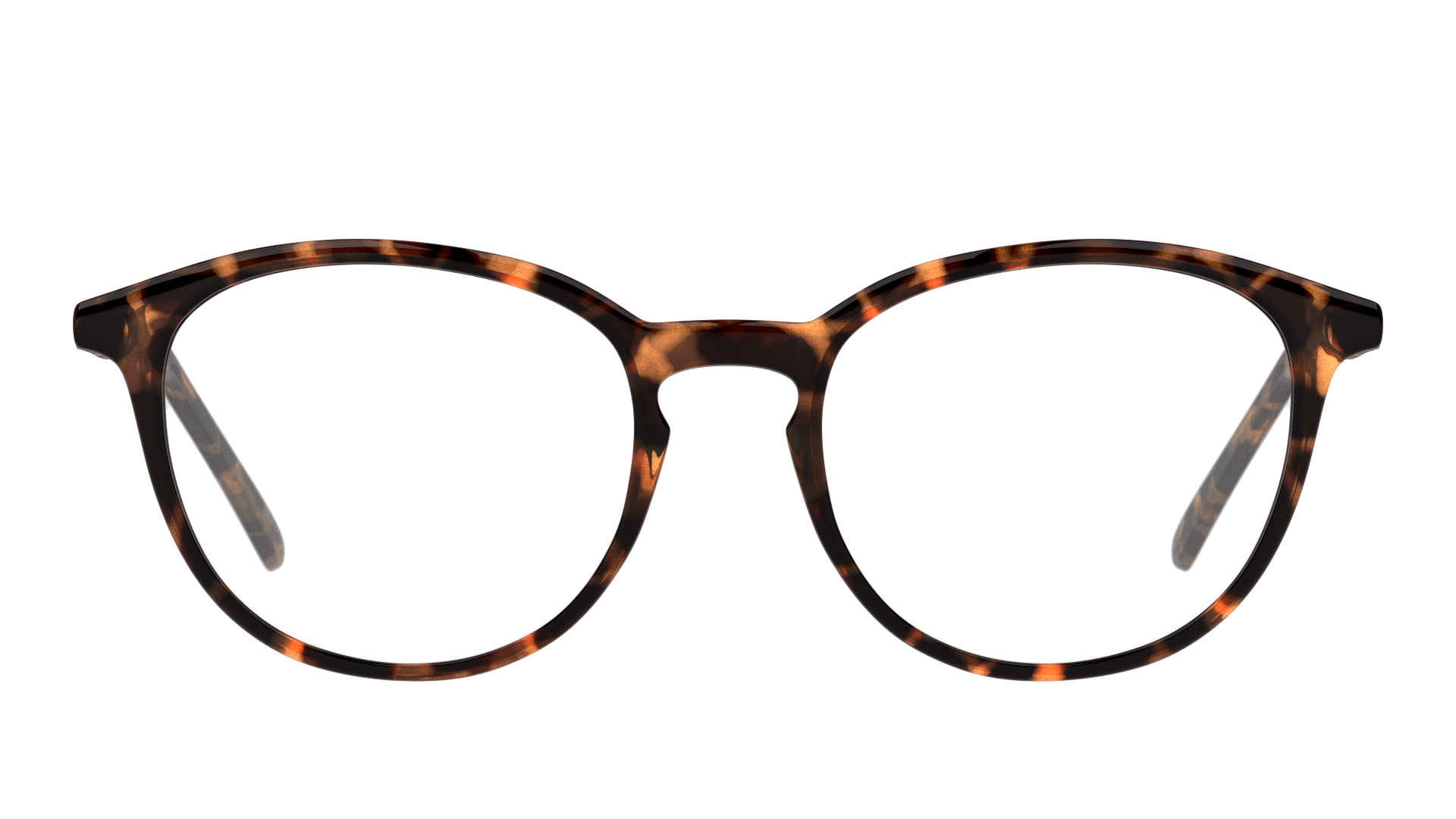 Front Seen SNOF5003 Glasses Transparent / Tortoise Shell