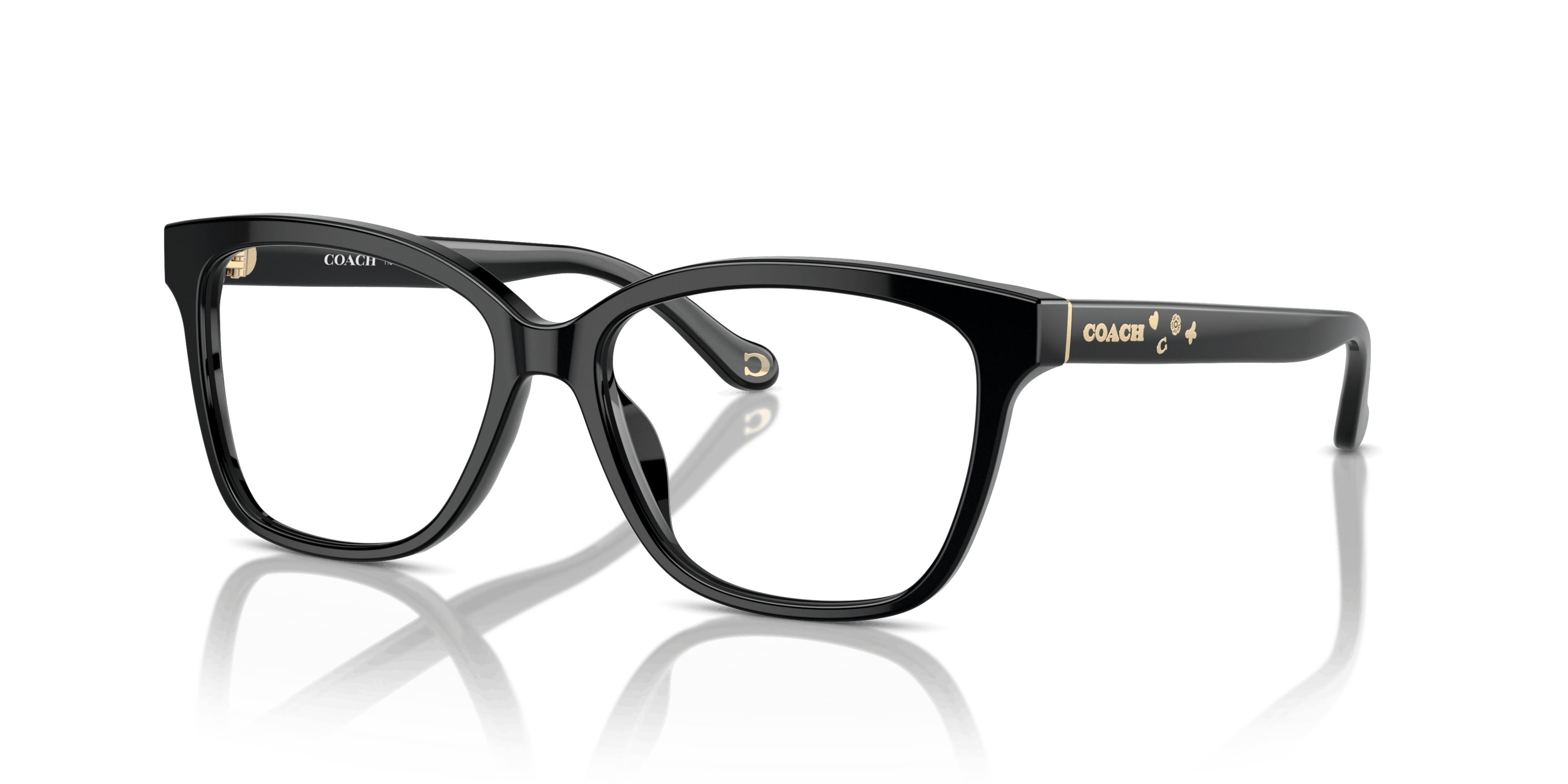 [products.image.angle_left01] Coach HC 6242U Glasses