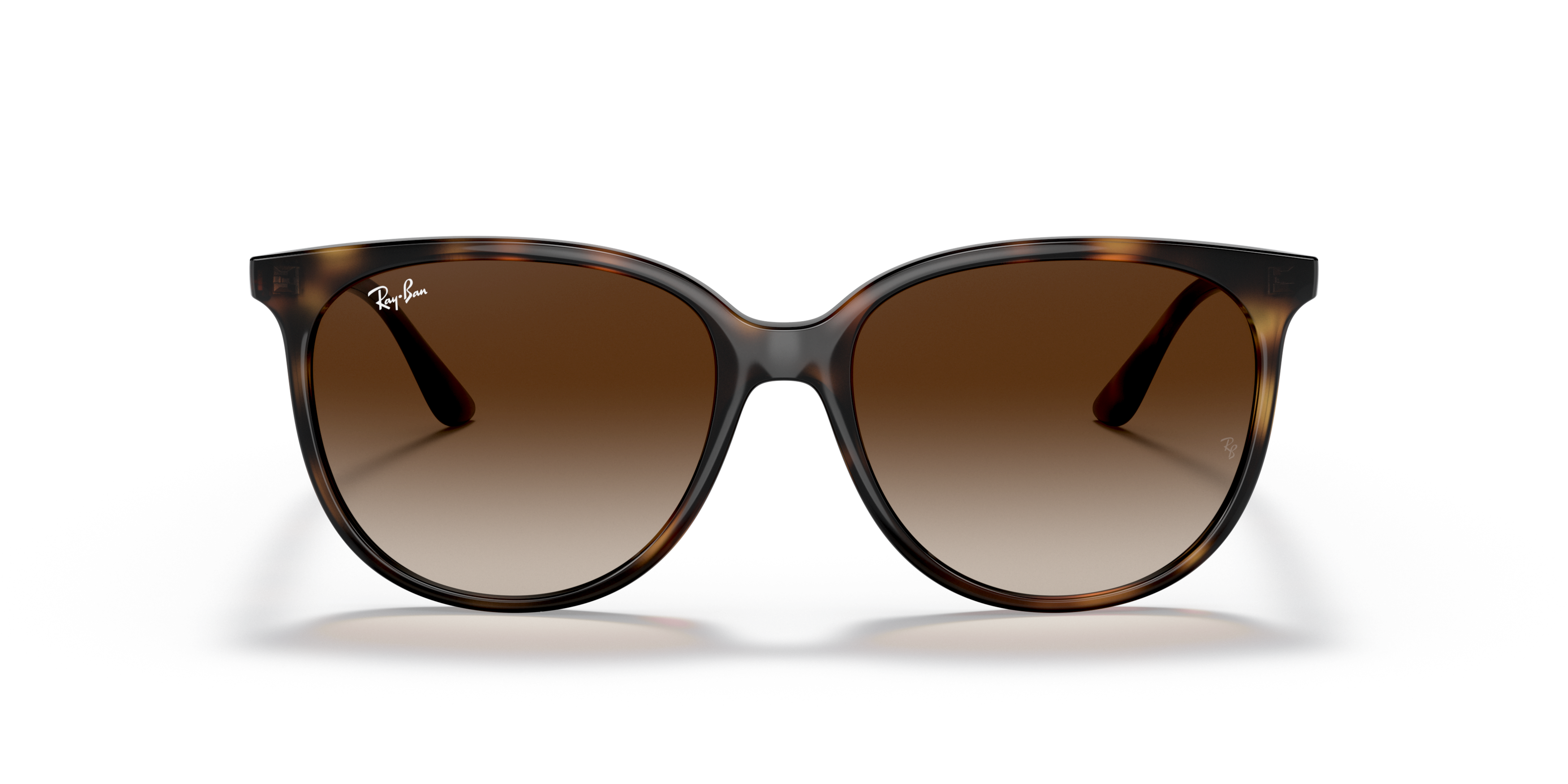 Front Ray-Ban RB 4378 Sunglasses Brown / Havana