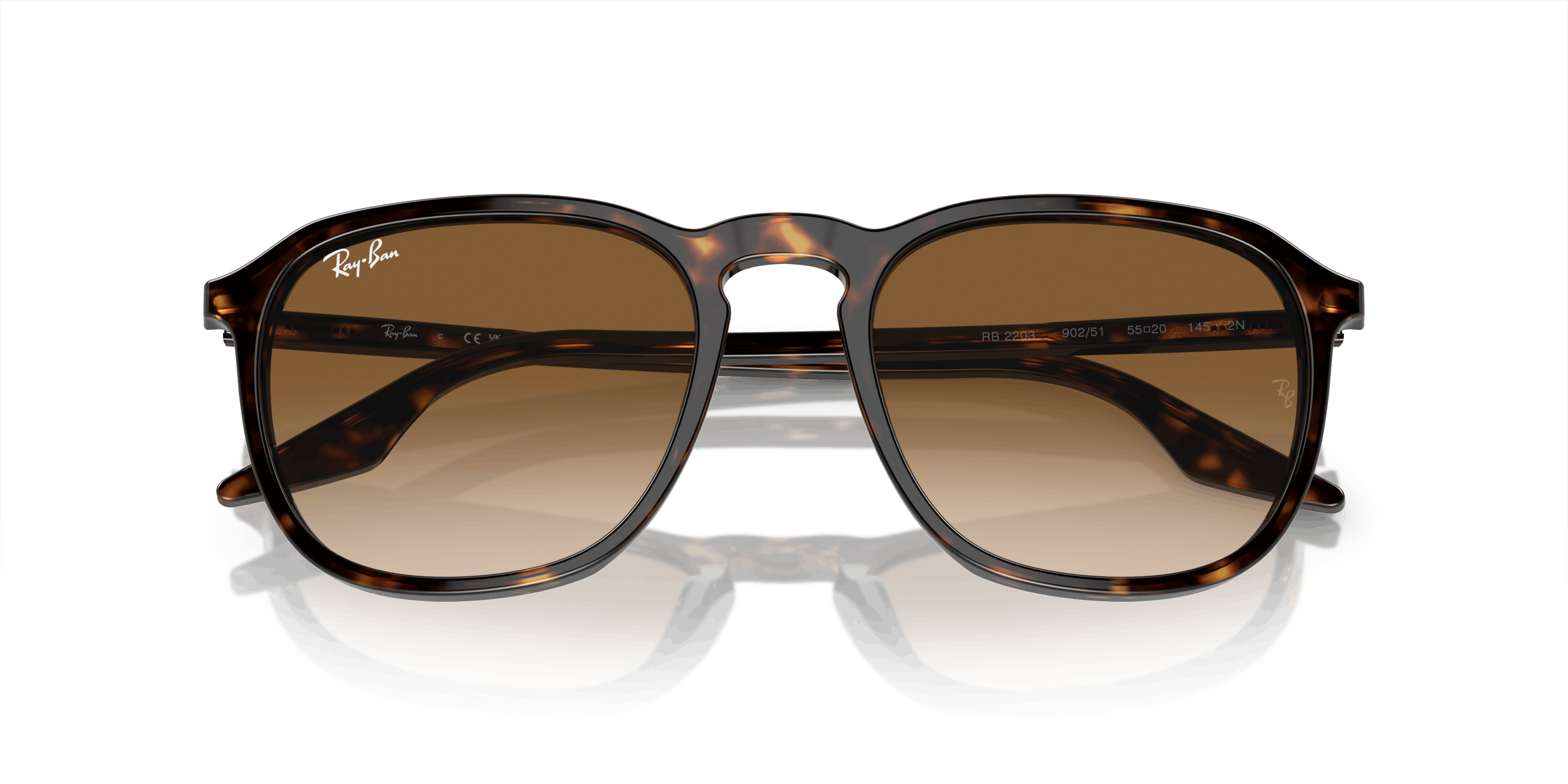 [products.image.folded] Ray-Ban 0RB2203 902/51 Solglasögon