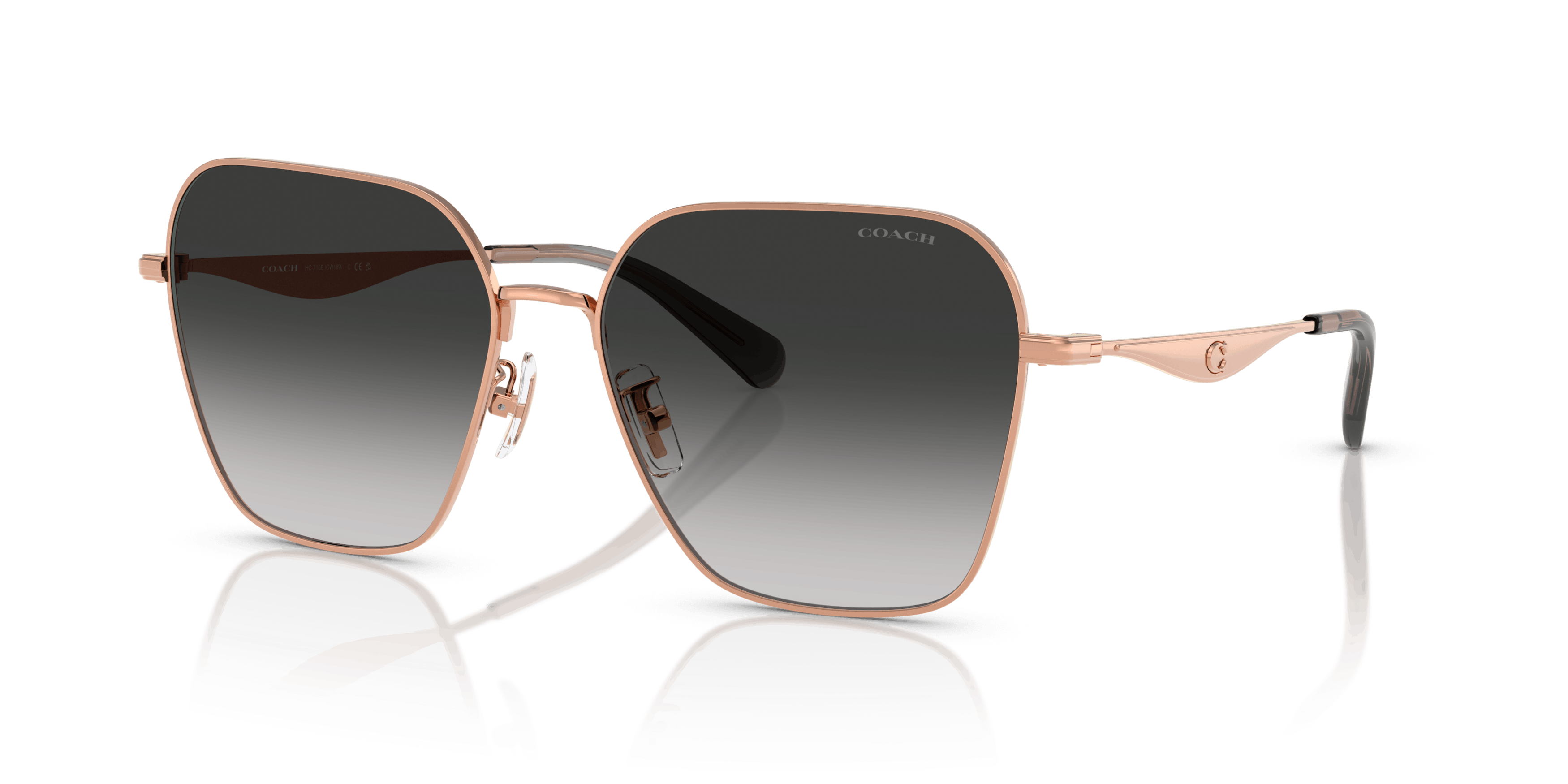 Angle_Left01, Coach HC7168 93313C