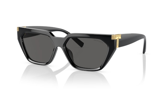 Tiffany & Co TF 4205U (8001S4) Sunglasses Grey / Black