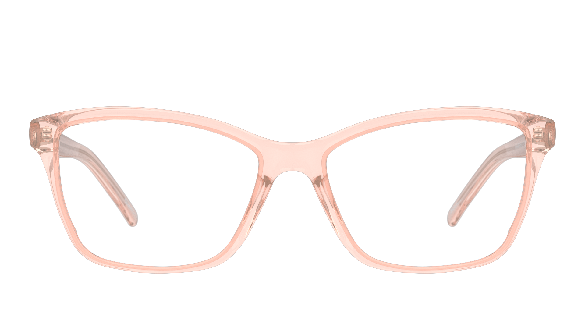 Front Seen SN FF10 Glasses Transparent / Transparent, Brown