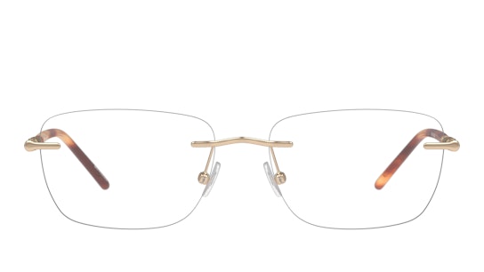 DbyD DB OF5069 (DH00) Glasses Transparent / Gold