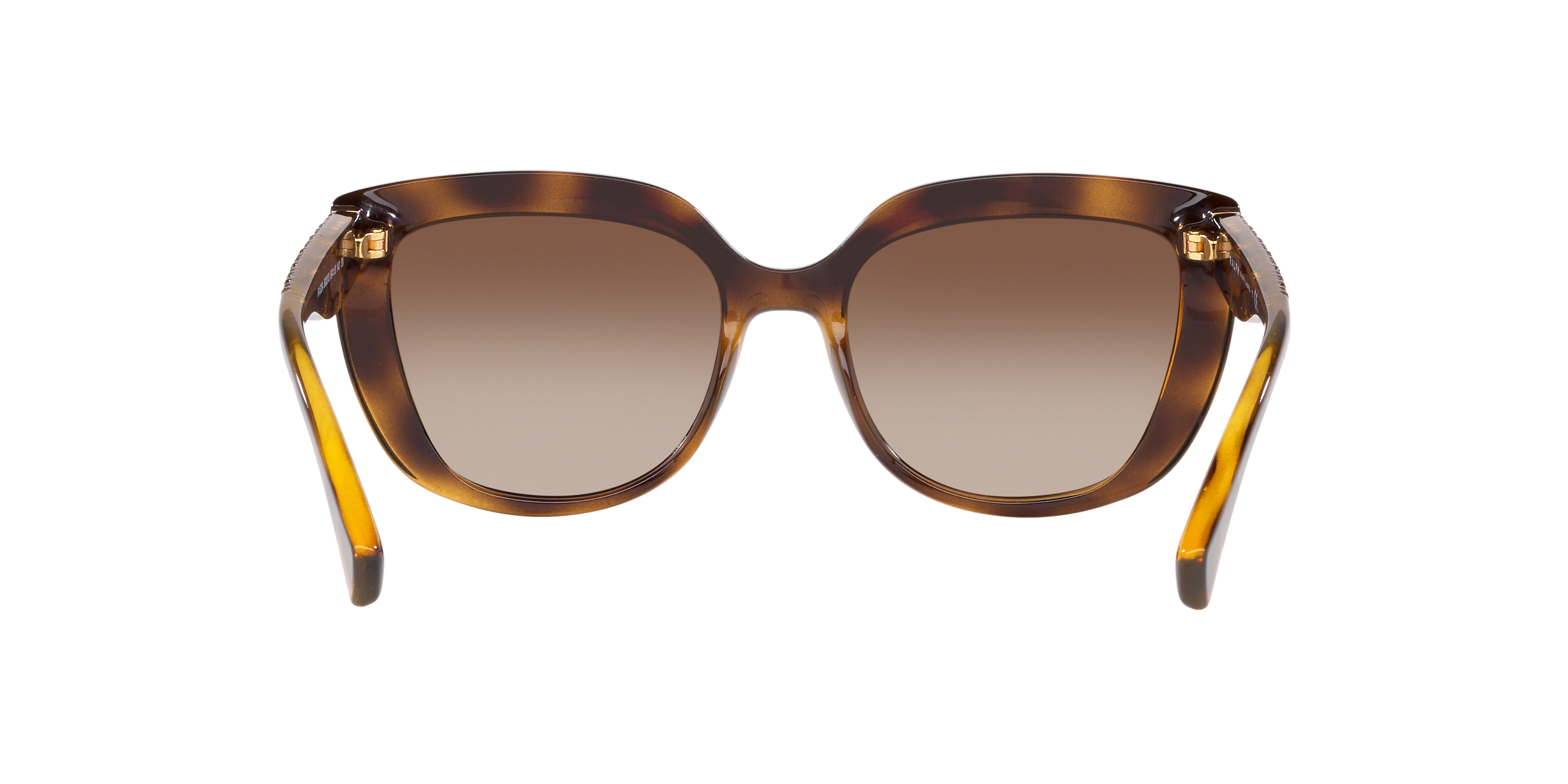 Detail02 Ralph by Ralph Lauren RA 5254 Sunglasses Brown / Tortoise Shell