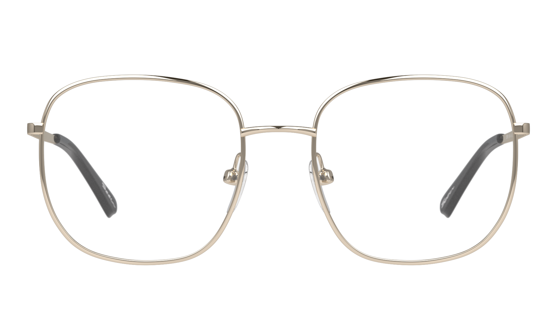 Front Seen SN F5006 Glasses Transparent / Gold