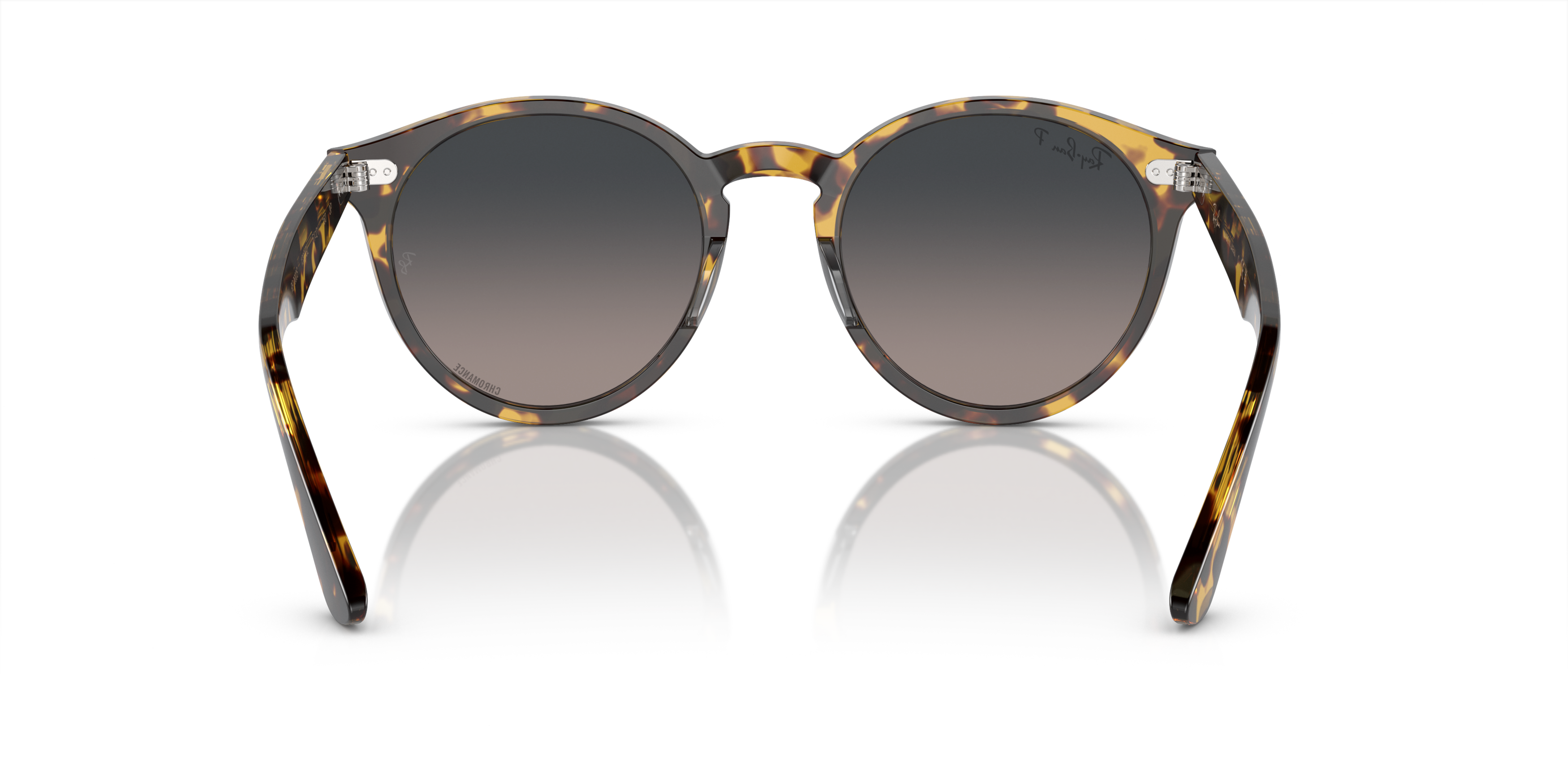 [products.image.detail02] Ray-Ban Larry RB7680S 1332GL