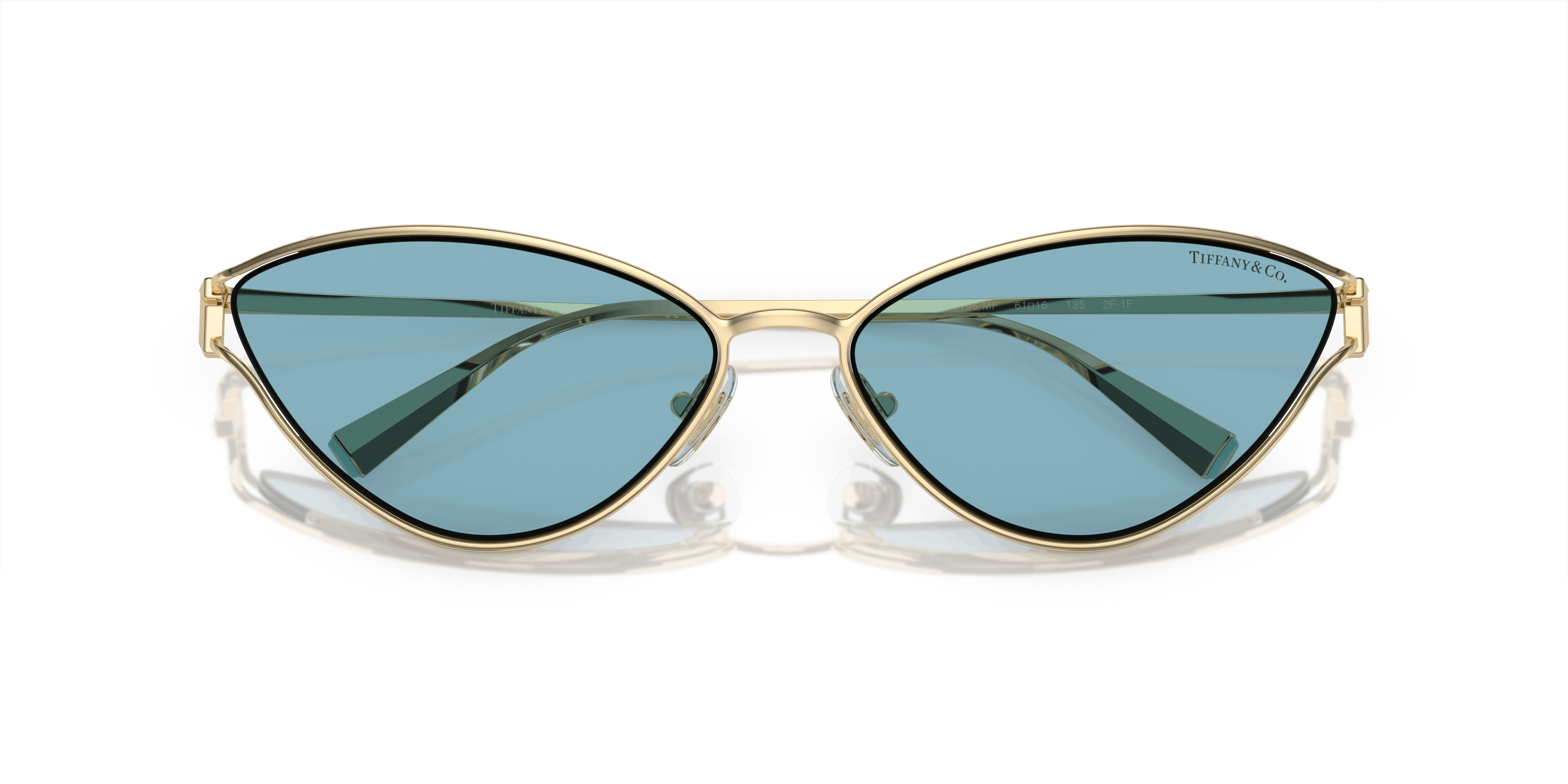 Detail05, Tiffany & Co. TF3095 6196MF