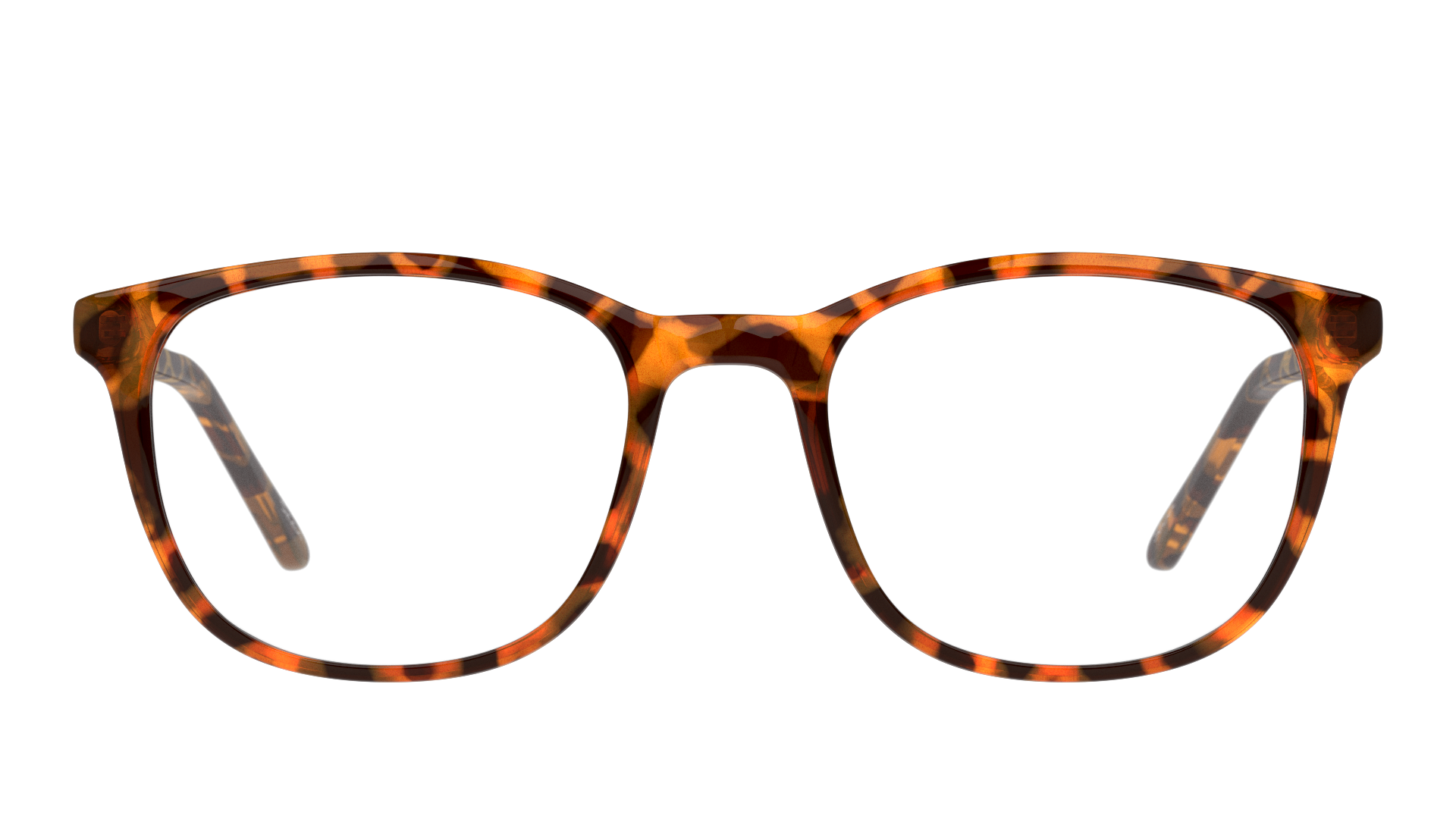 Front Seen SNOM5005 Glasses Transparent / Tortoise Shell