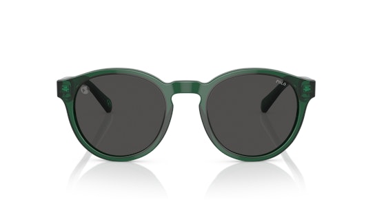 Polo Ralph Lauren PH 4192 (608487) Sunglasses Grey / Green