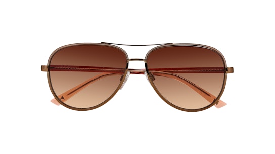 Ted Baker TB 1644 (404) Sunglasses Brown / Gold