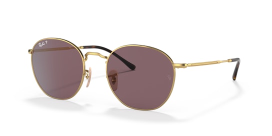 Ray-Ban Rob RB3772 001/AF Paars / Goud, Bruin