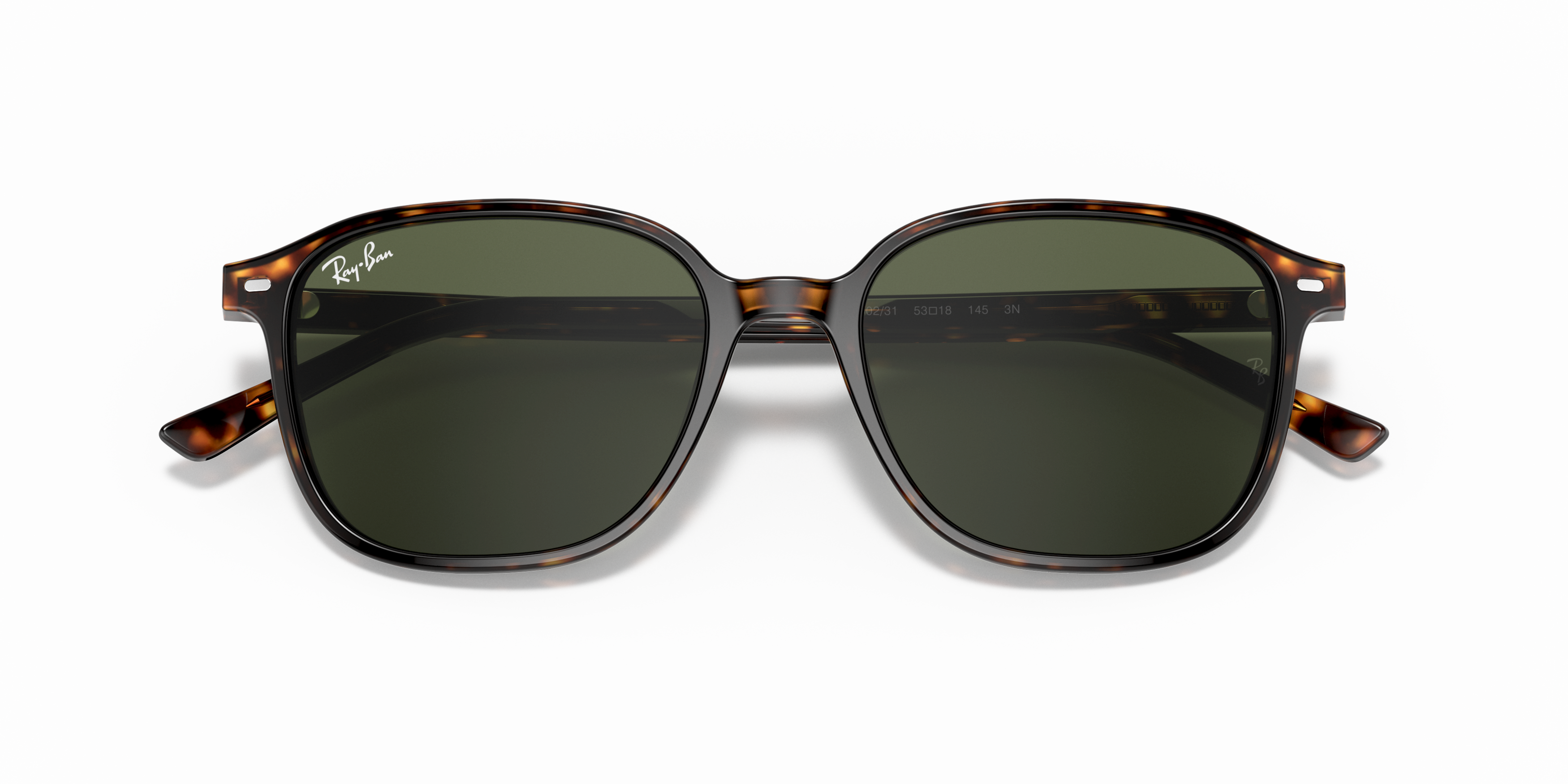 Folded Ray-Ban Leonard RB 2193 (902/32) Sunglasses Green / Havana