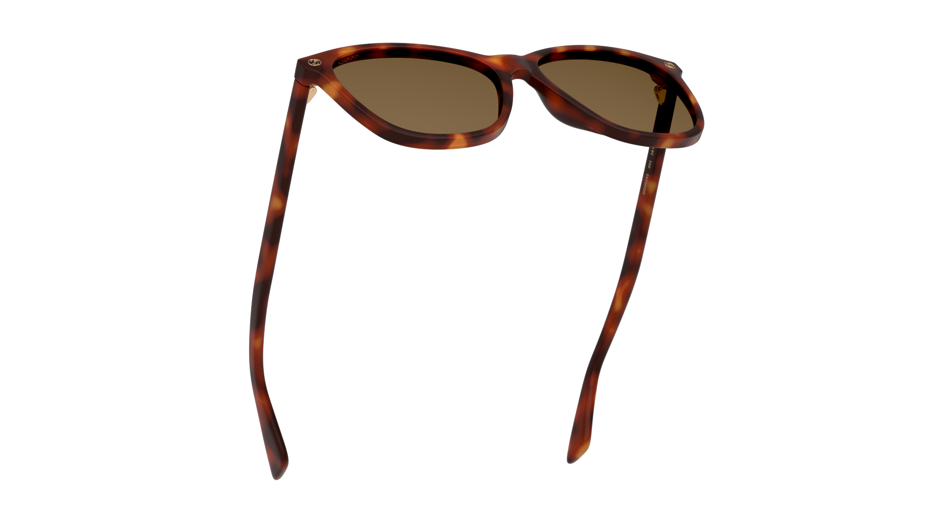 Bottom_Up Gucci GG 0024S (002) Sunglasses Brown / Tortoise Shell