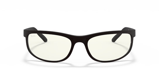 Ray-Ban RB 2027 Sunglasses Transparent / Black