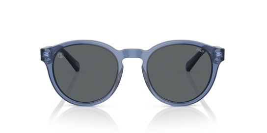 Polo Ralph Lauren PH 4192 (609287) Sunglasses Grey / Transparent, Blue