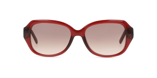 Ted Baker Mae TB 1606 Sunglasses Brown / Transparent, Red