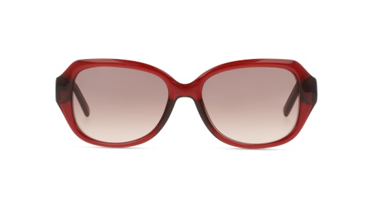 Ted Baker Mae TB 1606 (204) Sunglasses Brown / Transparent, Red