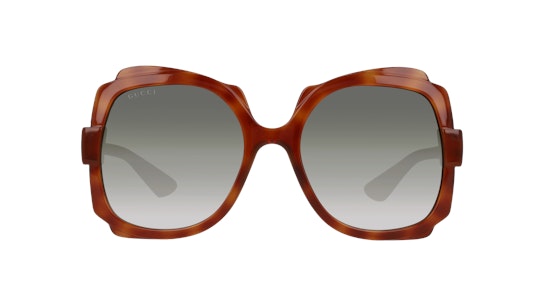 Gucci GG 1431S Sunglasses Brown / Havana