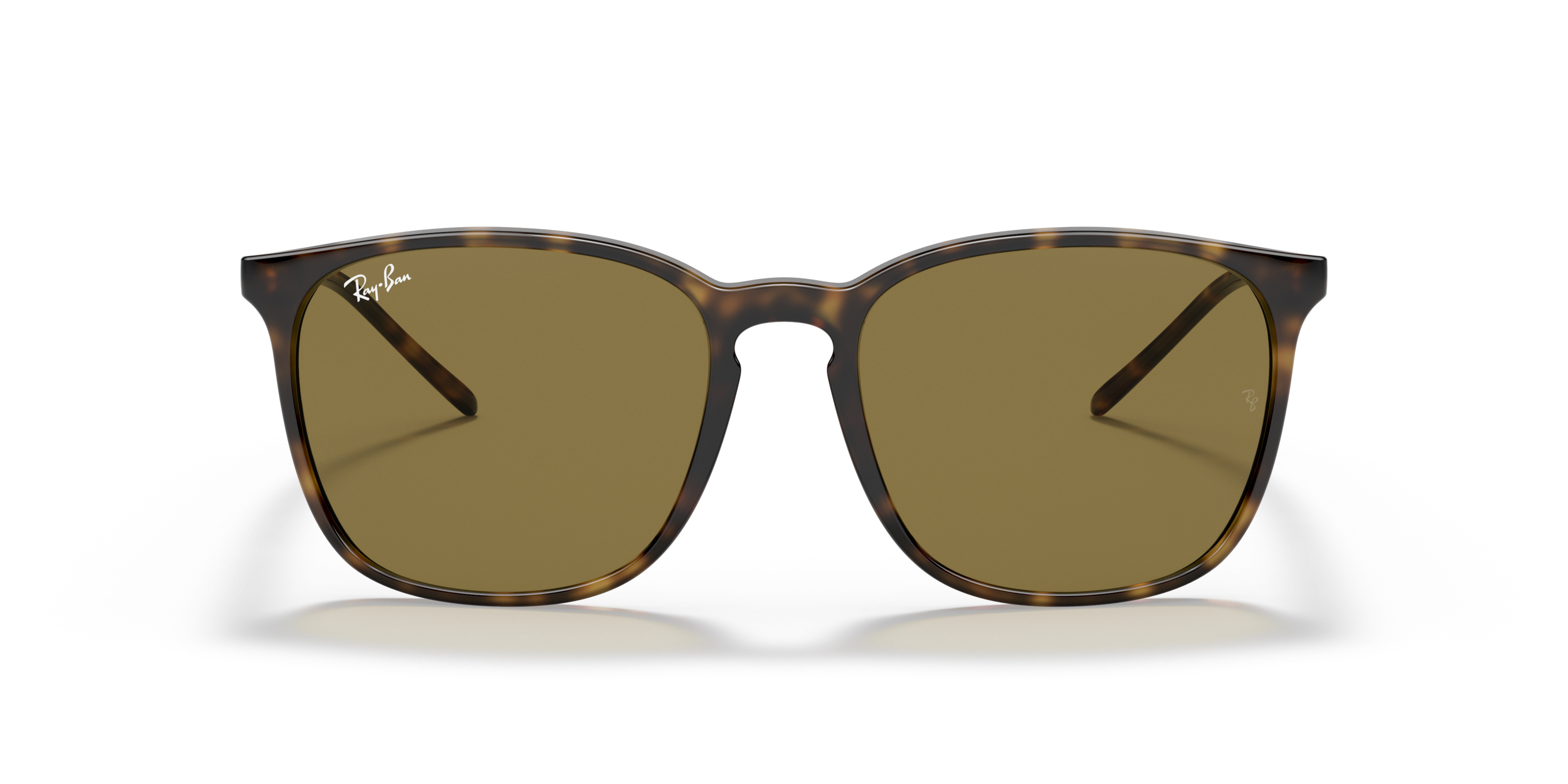 Front Ray-Ban RB 4387 Sunglasses Brown / Havana