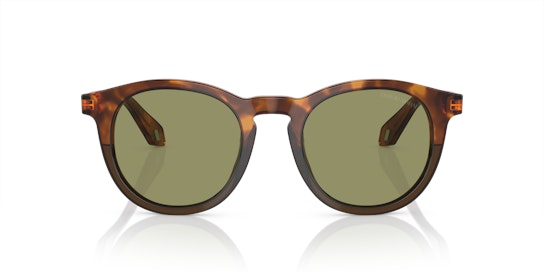 Giorgio Armani AR 8192 Sunglasses Grey / Havana