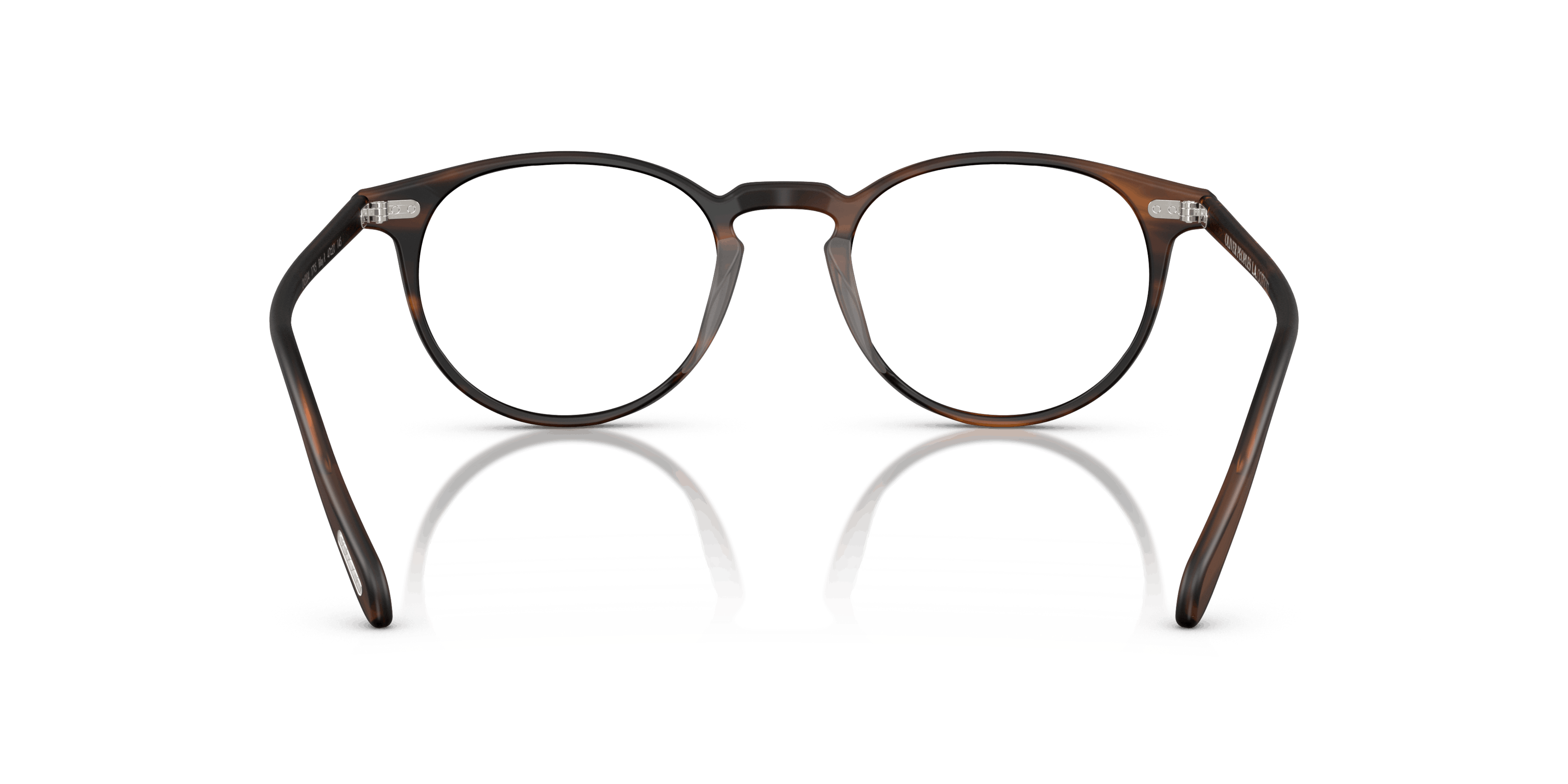Detail02, Oliver Peoples RILEY-R OV5004 1795