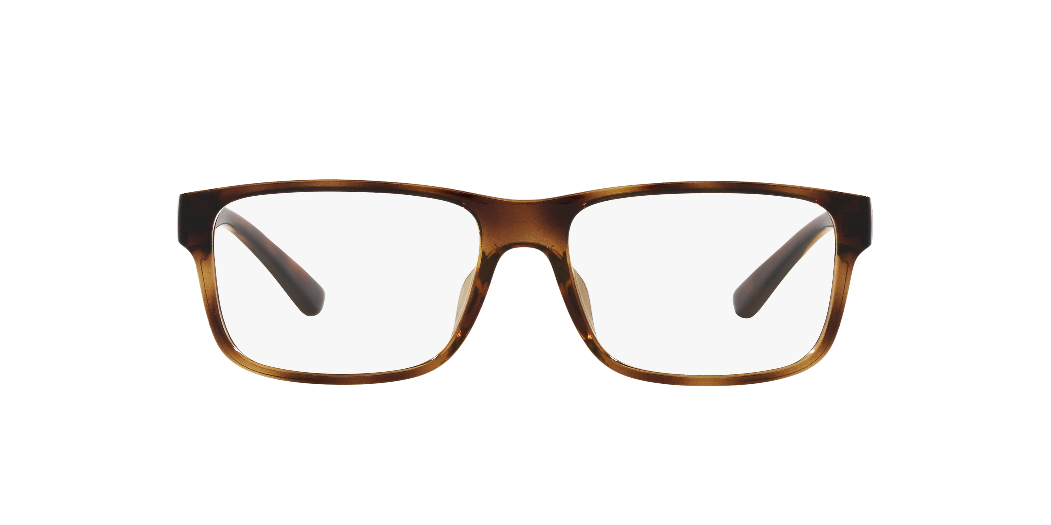 Front Polo Ralph Lauren PH 2237U Glasses Transparent / Tortoise Shell