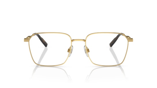 Dolce & Gabbana DG 1350 Glasses Transparent / Gold