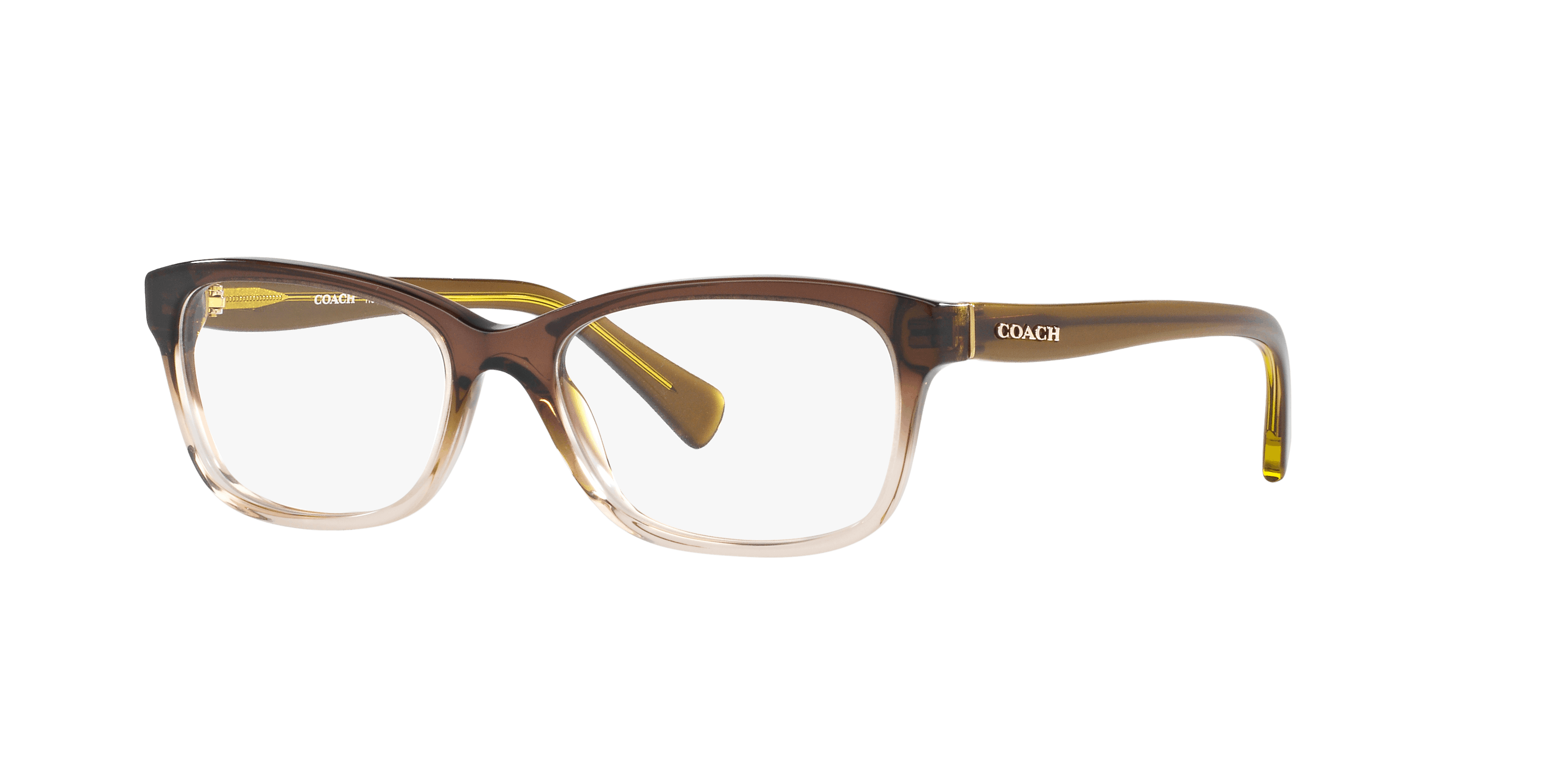 [products.image.angle_left01] Coach HC 6089 Glasses