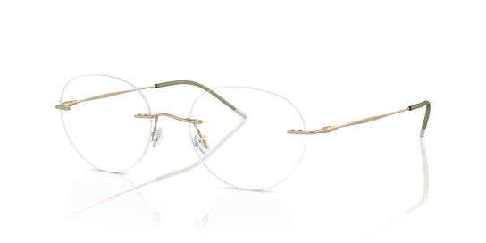 Giorgio Armani AR 5147 Glasses Transparent / Gold