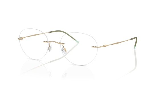 Giorgio Armani AR 5147 Glasses Transparent / Gold