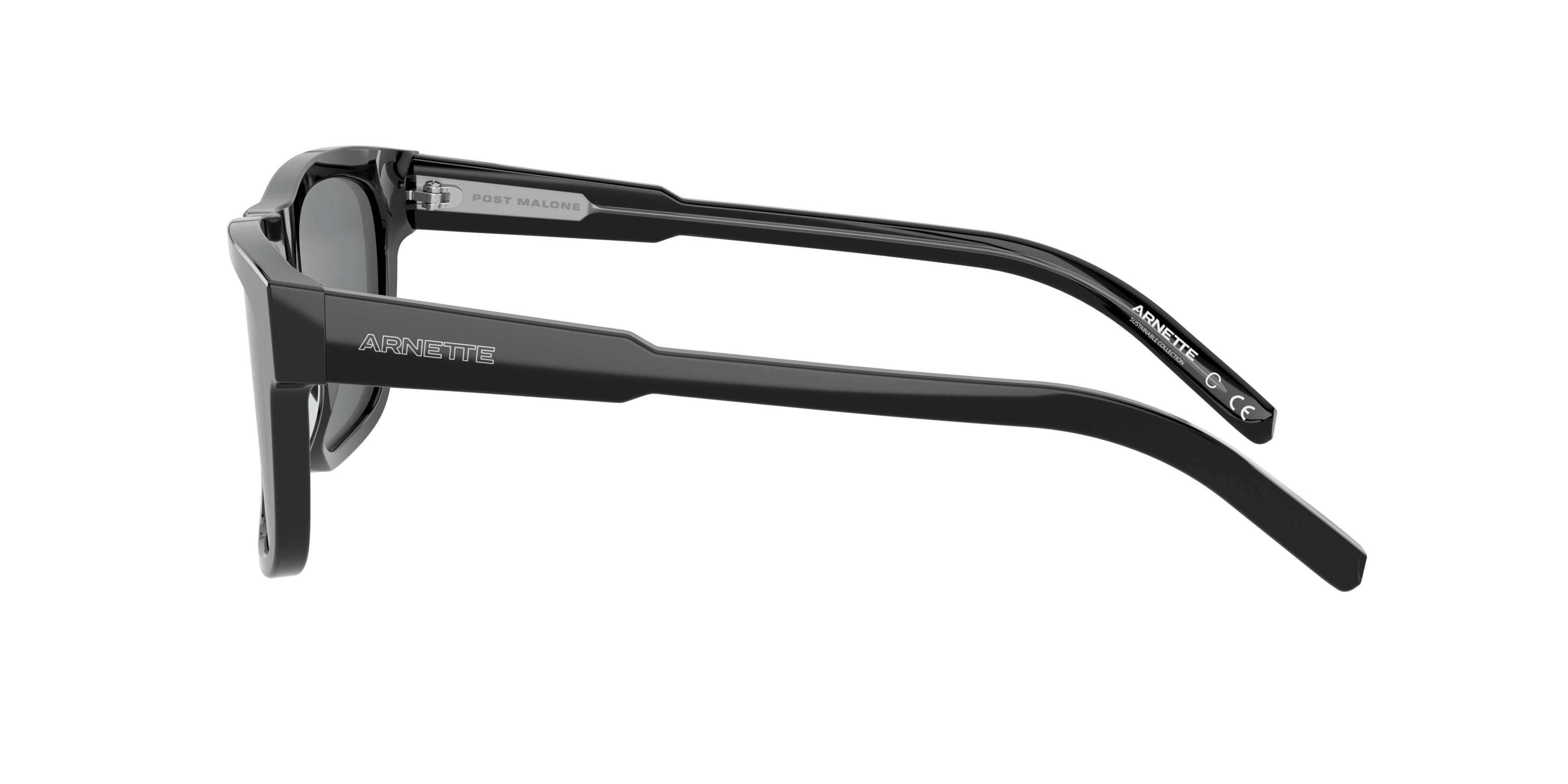 Angle_Left02, Arnette AN 4279 Sunglasses