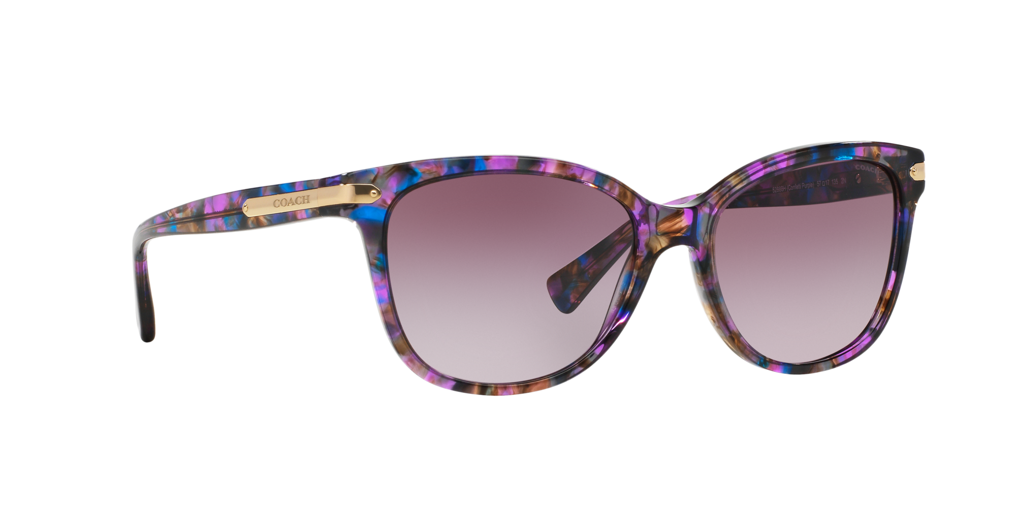 [products.image.angle_right01] Coach HC 8132 Sunglasses