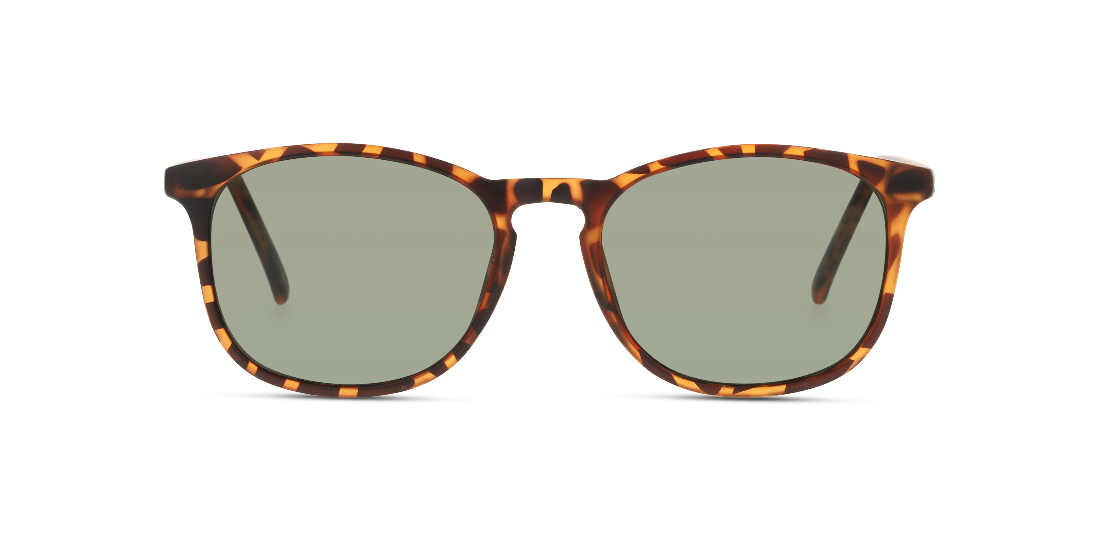 Front Seen SN SU0020 (HHE0) Sunglasses Green / Havana