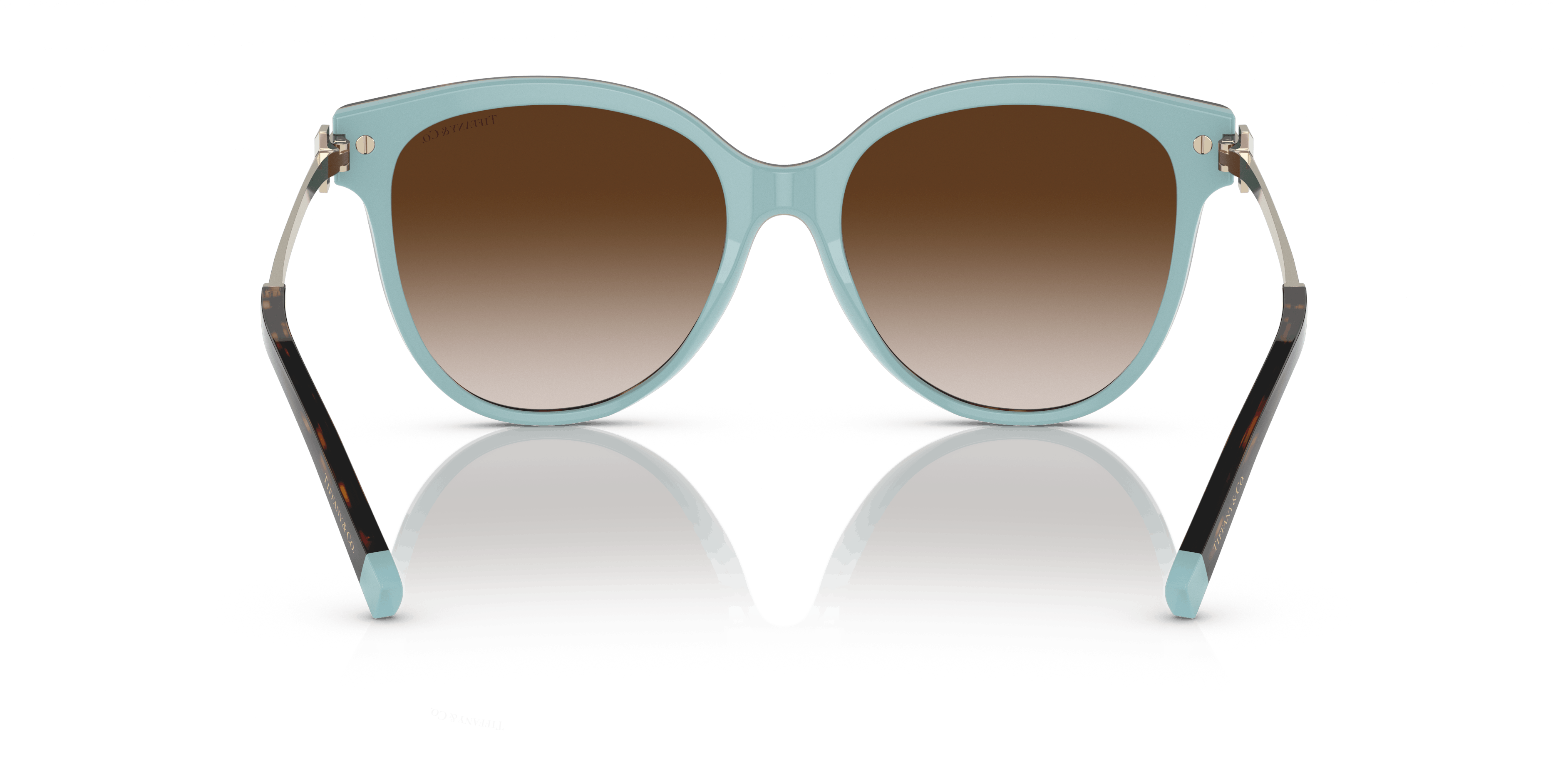 Detail02, Tiffany & Co. TF4193B 81343B