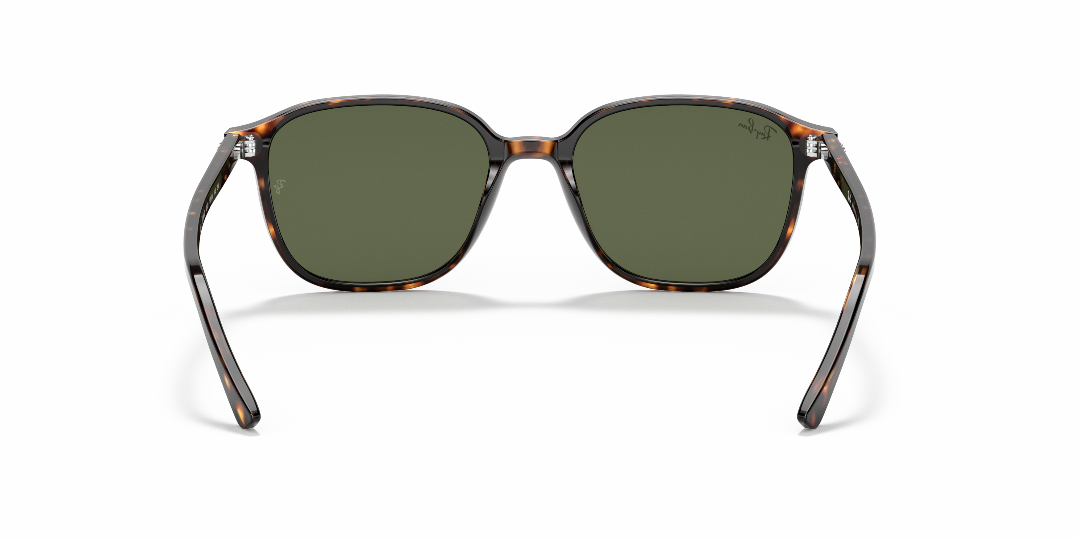 Detail02 Ray-Ban Leonard RB 2193 (902/32) Sunglasses Green / Havana
