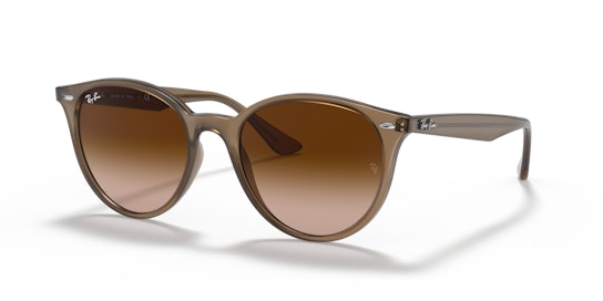 Ray-Ban RB 4305 Sunglasses Brown / Brown
