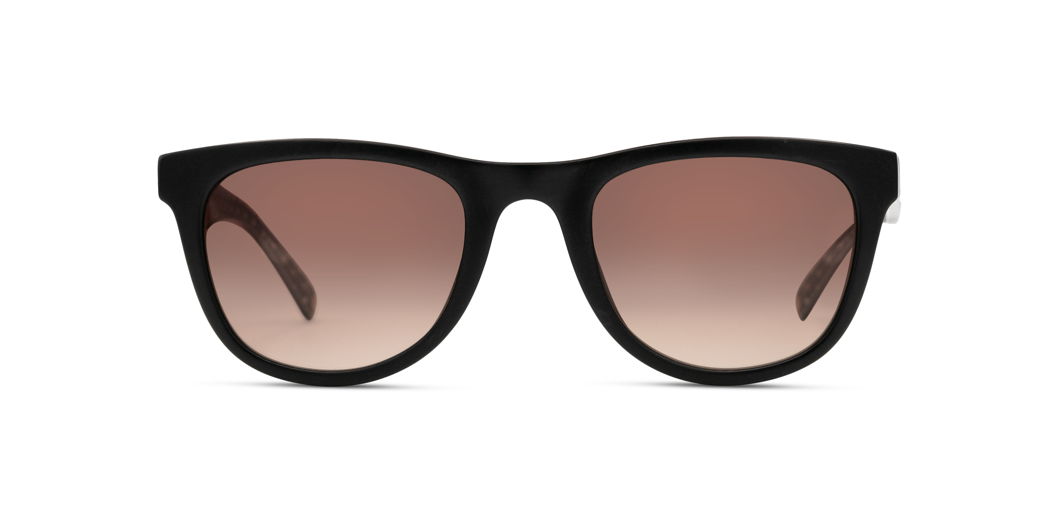 Front Ted Baker Dirk TB 1593 Sunglasses Brown / Black