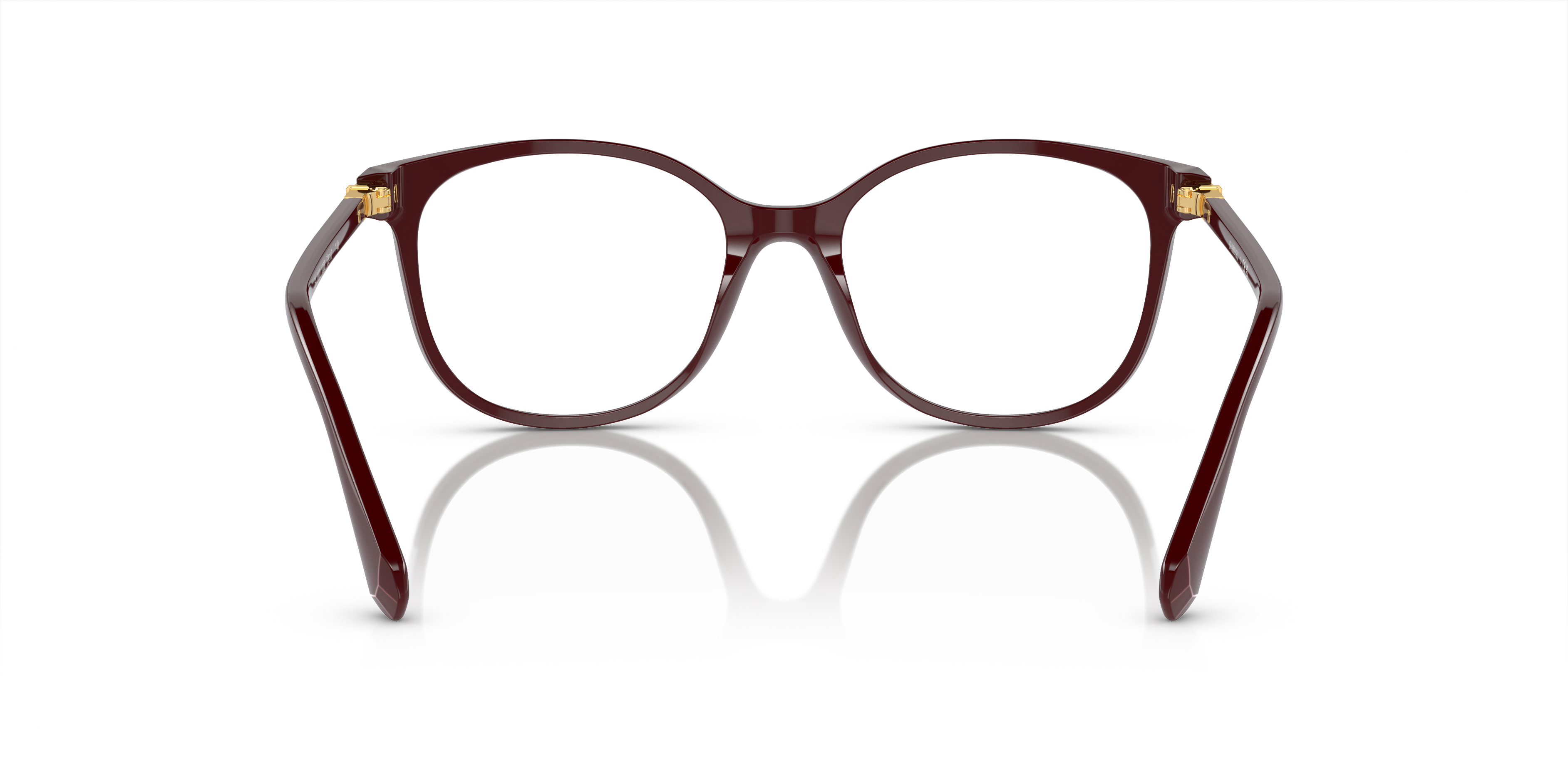 Detail02 Swarovski SK 2002 Glasses Transparent / Black