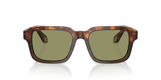 Giorgio Armani AR 8194U Sunglasses Grey / Havana