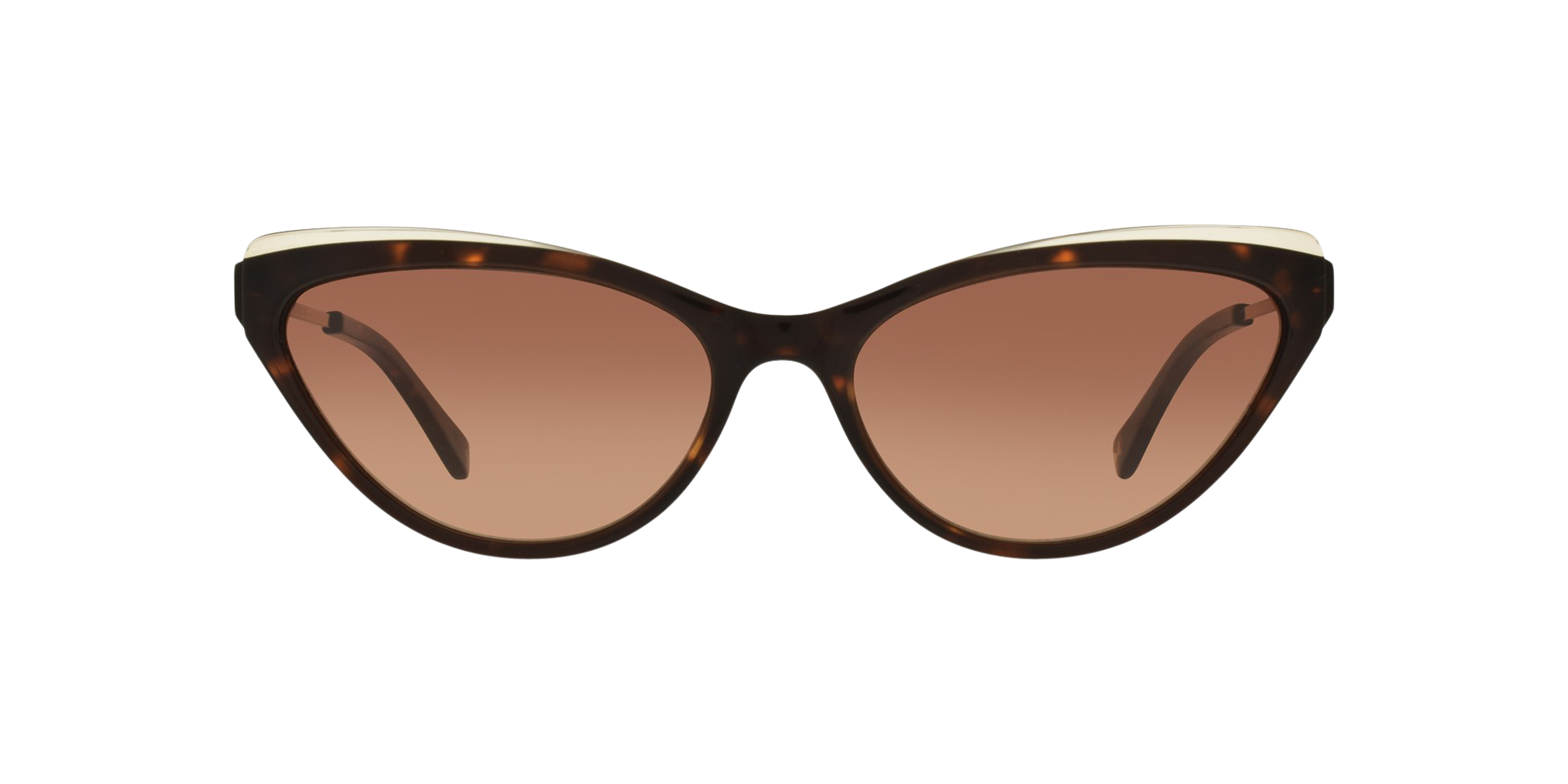 Front Ted Baker Emmy TB 1569 Sunglasses Brown / Tortoise Shell