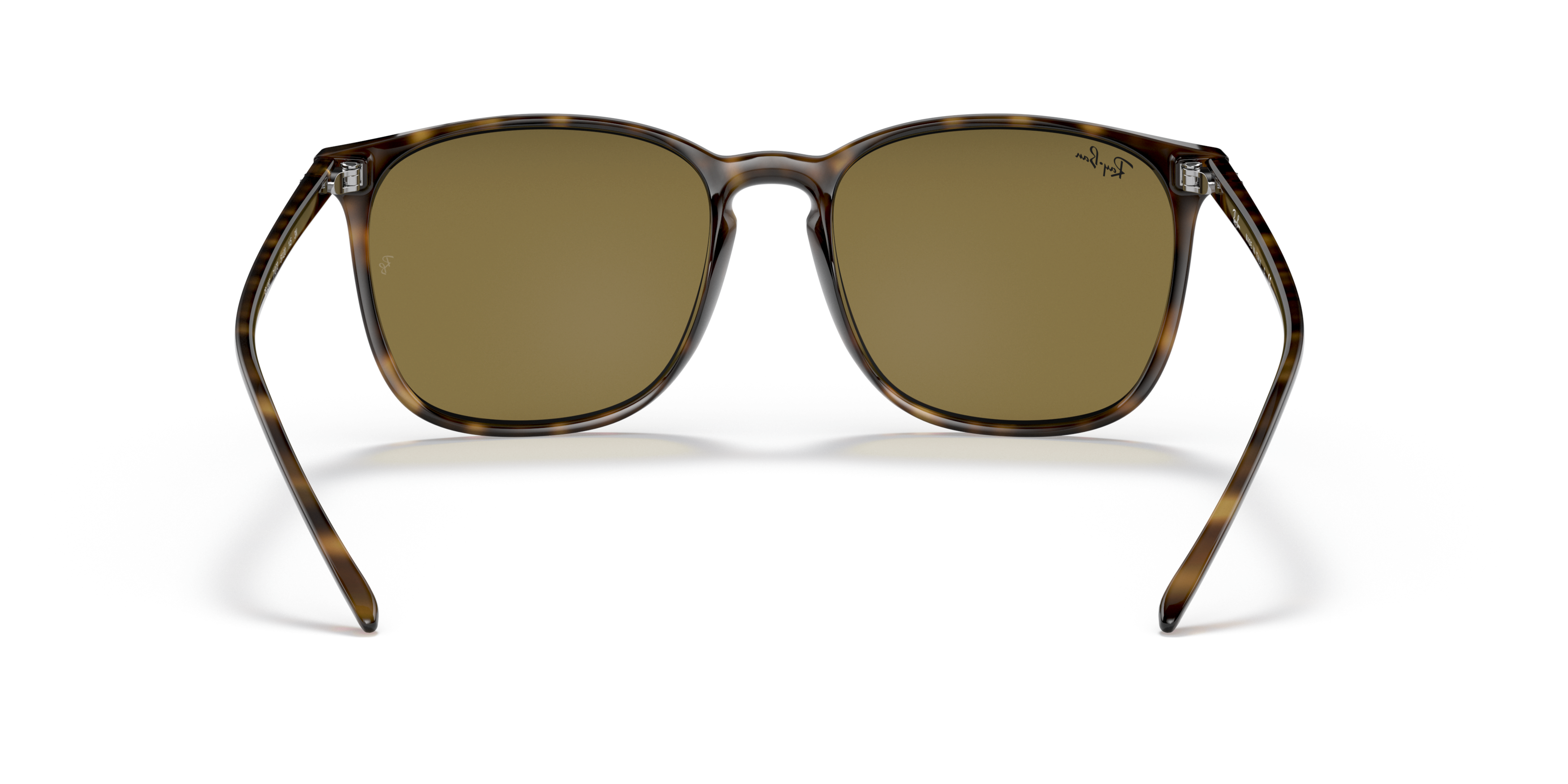 Detail02 Ray-Ban RB 4387 (710/73) Sunglasses Brown / Havana