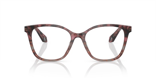 Giorgio Armani AR 7246U Glasses Transparent / Brown