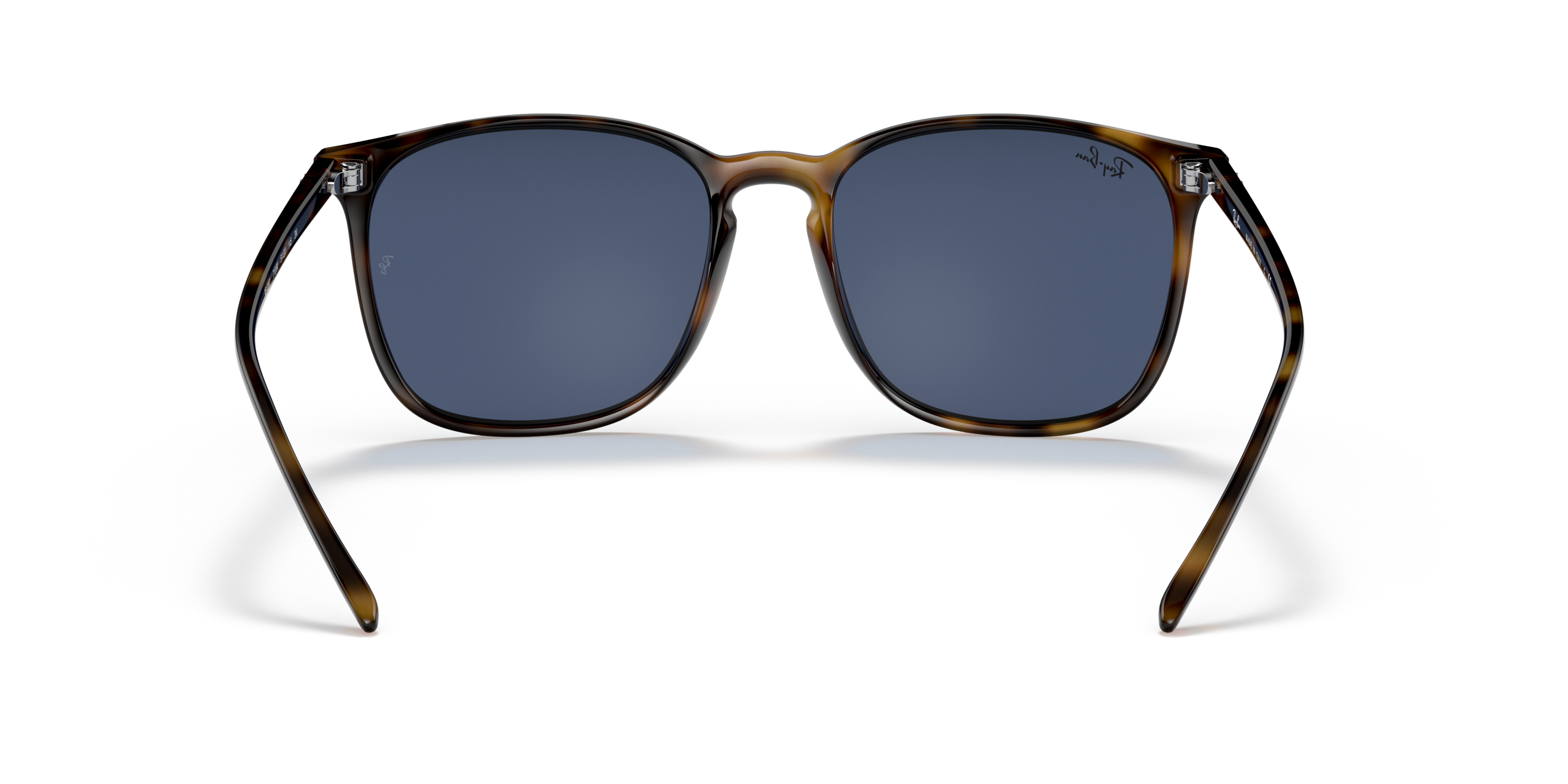 Detail02 Ray-Ban RB 4387 (710/80) Sunglasses Blue / Havana