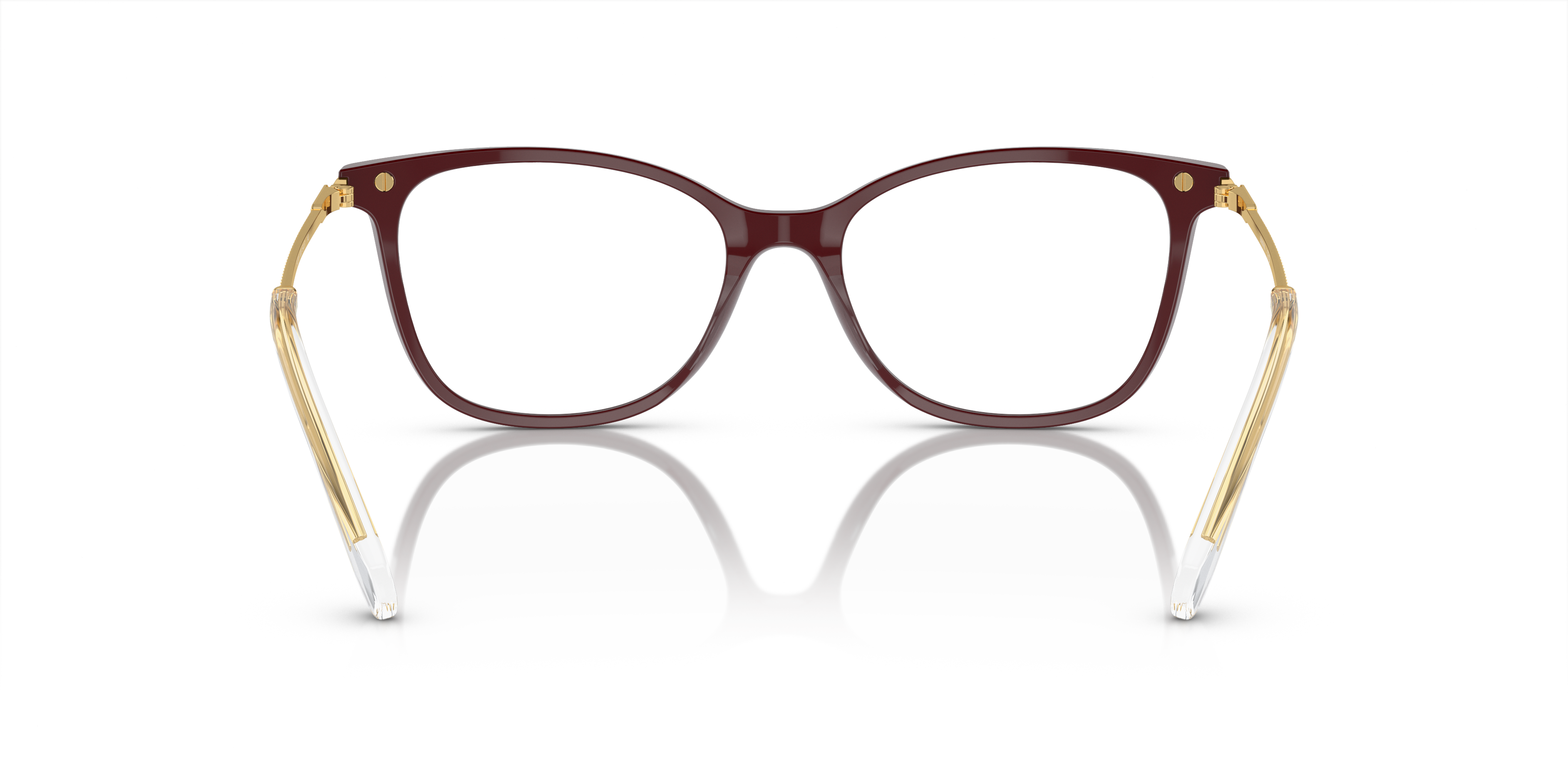 Detail02 Swarovski SK 2010 Glasses Transparent / Tortoise Shell