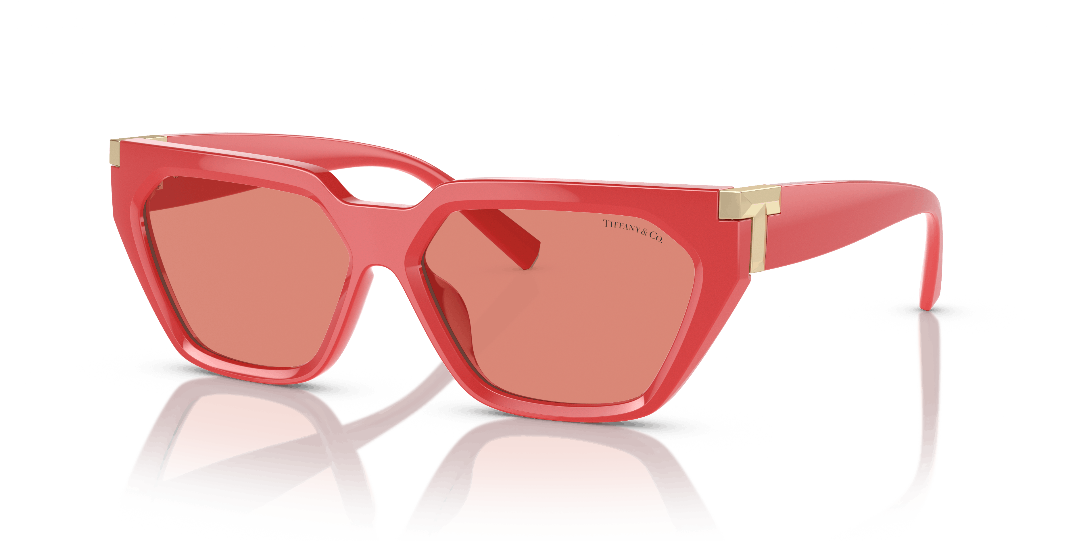 Angle_Left01, Tiffany & Co. TF4205U 837084
