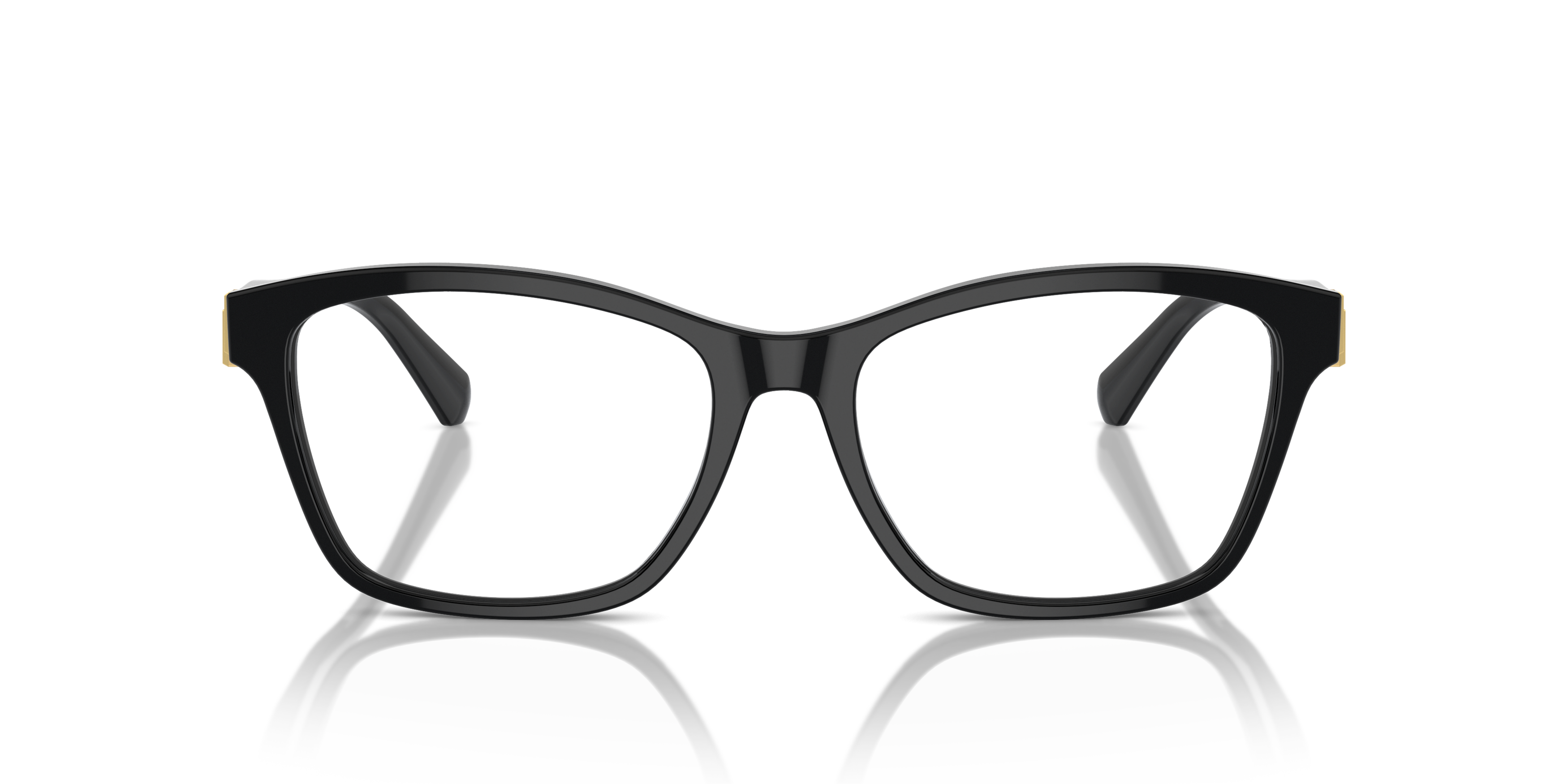 Ralph Lauren RL 6243 Glasses